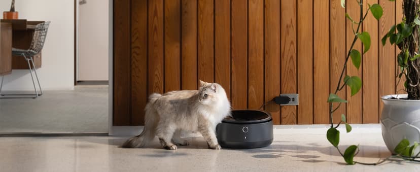 PETLIBRO Automatic Cat Feeder, Automatic Dog Food Dispenser with Freshness Preservation, Timed Pet Feeders for Dry Food, Up to 50 Portions 6 Meals Per Day, Granary Black