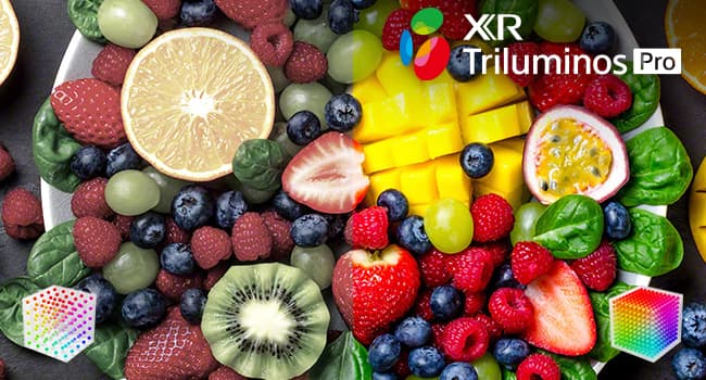 Sony 55 Inch 4K Ultra HD TV X90K Series: BRAVIA XR Full Array LED Smart Google TV with Dolby Vision HDR and exclusive features for The PlayStation® 5 XR55X90K- 2022 Model