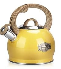 Tea Kettle Stovetops, 2.7 Quart Food Grade Stainless Steel Water kettles for Stove Top Teatop with Anti-hot Ergonomic Handle,Suitable for All Heat Sources