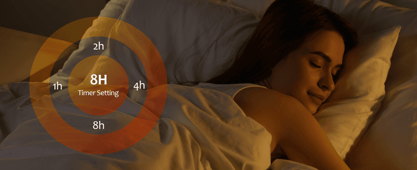 Electric Fireplace Log Heater 750W/1500W, 20" Electric Fireplace Insert with Adjustable 5 Flame Brightness&Speed/3 Music Sounds/Remote Control/8Hrs Timer for Home, Room, Office Decor