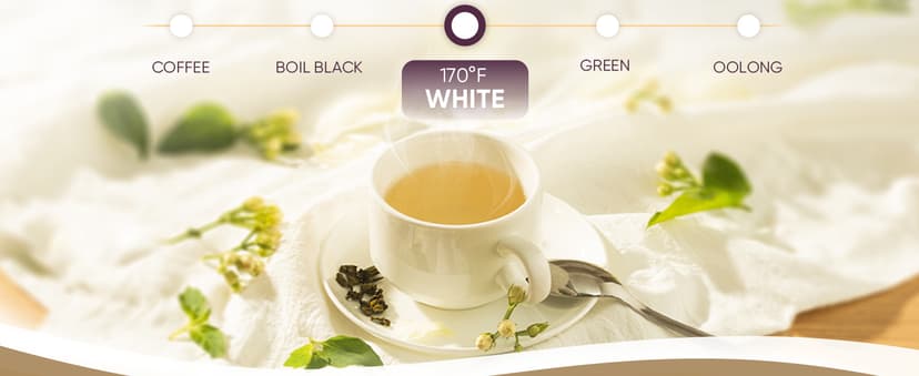 COSORI Electric Gooseneck Kettle with 5 Temperature Control Presets, Pour Over Kettle for Coffee & Tea, Hot Water Boiler, 100% Stainless Steel Inner Lid & Bottom, 1200W/0.8L