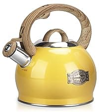 Tea Kettle Stovetop,2.5QT Stainless Steel Whistling Teapot for Stove Top Aesthetic,Portable Water Kettles Camping with Anti-hot Silicone Handle,Suitable for All Heat Sources,Black