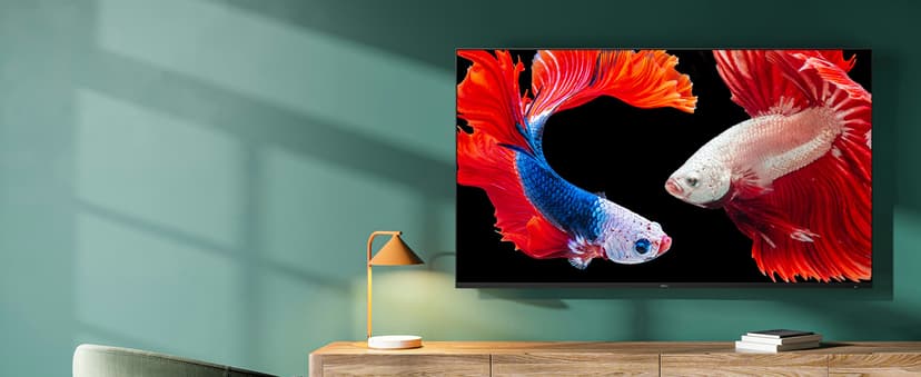 Roku Smart TV – 65-Inch Pro Series 4K QLED RokuTV with Backlit Roku Voice Remote Pro, Dolby Vision IQ, 120Hz Refresh Rate – Live Local News, Sports, Gaming