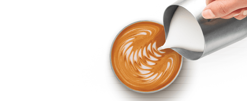 Breville Barista Pro Espresso Machine BES878BTR, Black Truffle