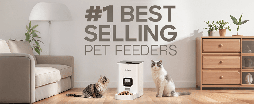 VOLUAS Automatic Cat Feeders - Timed Pet Feeder for Cats and Dogs with Dry Food Dispenser, Desiccant Bag, Programmable Portion Control, 4 Daily Meals, 10s Voice Recorder
