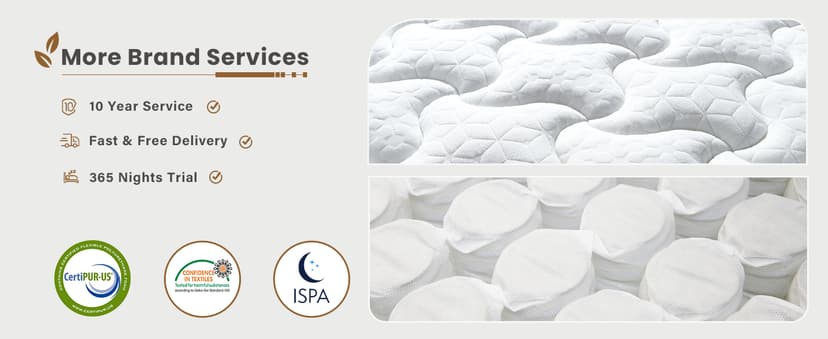 Queen Mattress, 14 Inch Plush Hybrid Mattresses with Gel Memory Foam, Fiberglass-Free Mattress in a Box, Individual Pocket Spring-Motion Isolation-Extra Edge Support, 365 Nights Trial,CertiPUR-US