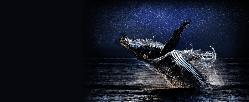 LG 55-Inch Class OLED B4 Series Smart TV 4K Processor Flat Screen with Magic Remote AI-Powered with Alexa Built-in (OLED55B4PUA, 2024)