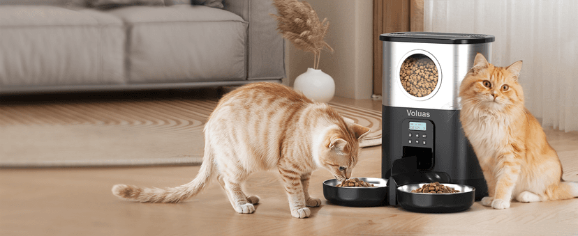 VOLUAS Automatic Cat Feeders - Timed Pet Feeder for Cats and Dogs with Dry Food Dispenser, Desiccant Bag, Programmable Portion Control, 4 Daily Meals, 10s Voice Recorder