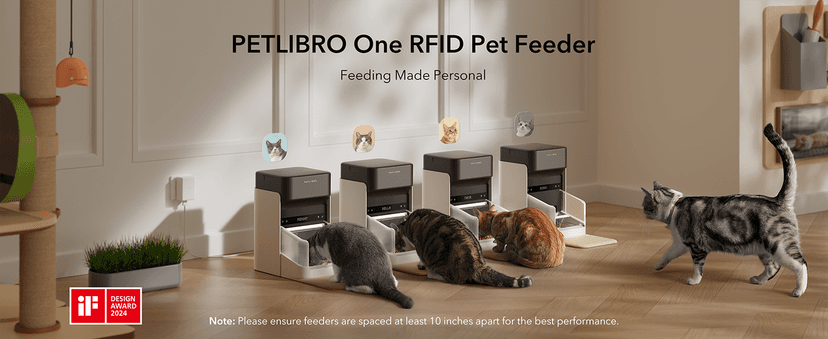 PETLIBRO Automatic Cat Feeder, Automatic Dog Food Dispenser with Freshness Preservation, Timed Pet Feeders for Dry Food, Up to 50 Portions 6 Meals Per Day, Granary Black