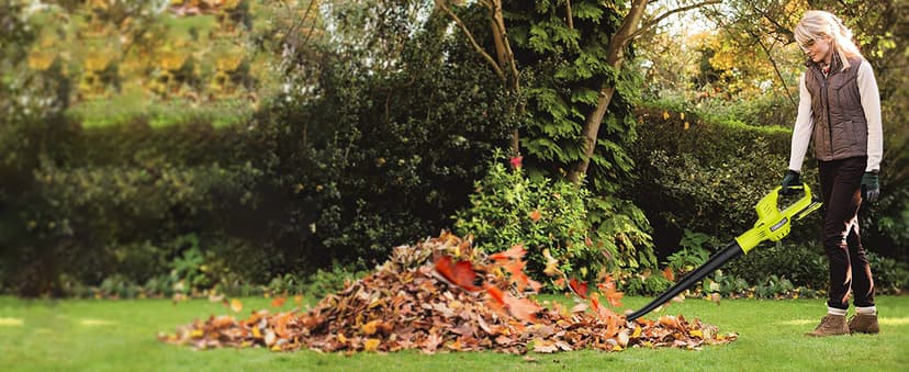 Leaf Blower Cordless - 21V Powerful Electric Leaf Blower with 2 Batteries and Charger, 2 Speed Modes, 2.0Ah Lightweight Battery Powered Leaf Blowers for Lawn Care, Patio, Dust, Blowing Leaves