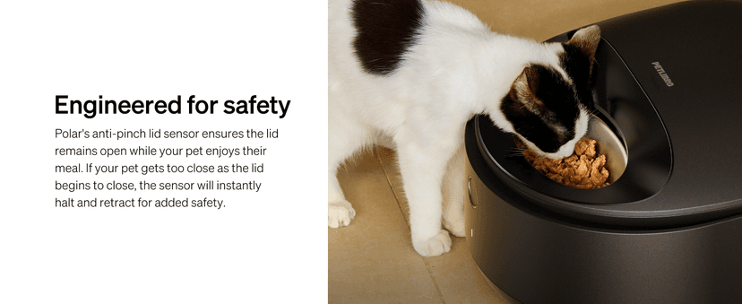 PETLIBRO Automatic Cat Feeder Wet Food with Stainless Steel Bowl, Refrigerated Auto Cat Feeder with Semiconductor Cooling, 3 Fresh Meals for 3 Days, App-Controlled Pet Food Dispenser, Easy to Clean