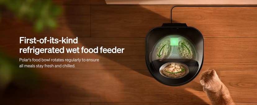 PETLIBRO Automatic Cat Feeder Wet Food with Stainless Steel Bowl, Refrigerated Auto Cat Feeder with Semiconductor Cooling, 3 Fresh Meals for 3 Days, App-Controlled Pet Food Dispenser, Easy to Clean