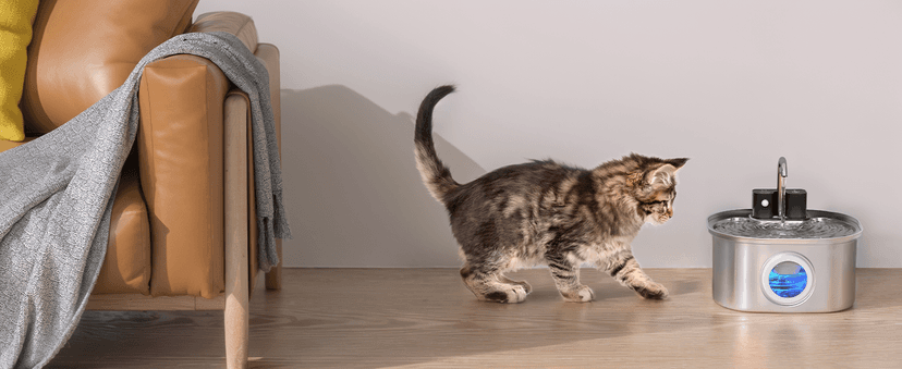 VOLUAS Automatic Cat Feeders - Timed Pet Feeder for Cats and Dogs with Dry Food Dispenser, Desiccant Bag, Programmable Portion Control, 4 Daily Meals, 10s Voice Recorder