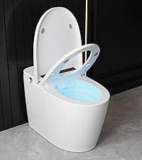 DeerValley Smart Bidet Toilet, One Piece Bidet Toilet for Bathrooms, Toilets with Auto Open/Close Lid, Heated Seat, Warm Dryer, Foot Sensor Operation, Night Light,Tankless Toilets with LED Display