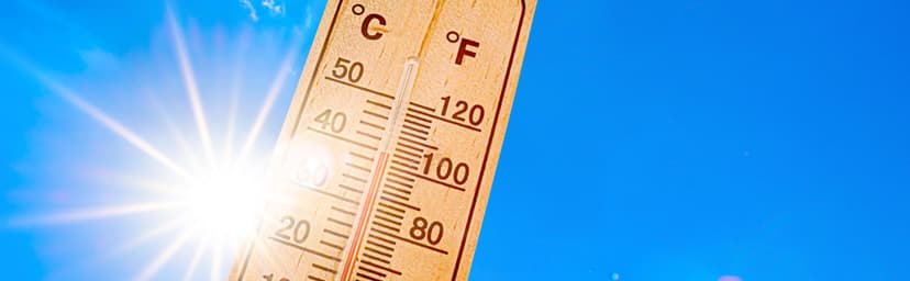 Rain Bird ARC6 App-Based Indoor Smart Irrigation WiFi Timer/Controller, 6-Zone/Station, EPA WaterSense Certified, Compatible with Alexa