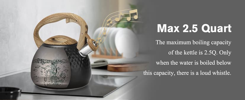 Tea Kettle Stovetop,2.5QT Stainless Steel Whistling Teapot for Stove Top Aesthetic,Portable Water Kettles Camping with Anti-hot Silicone Handle,Suitable for All Heat Sources,Black
