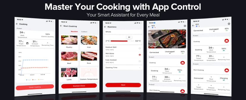 Smart Wireless Meat Thermometer with Dual Probes, Bluetooth & WiFi Combo, High Precision & Fast Response for BBQ, Grill, Smoker, Oven, Air Fryer