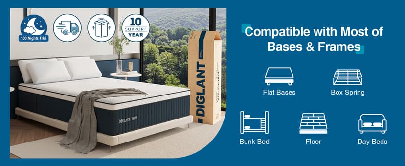 Queen Mattress, DIGLANT 14Inch Euro Top Memory Foam Hybrid Mattress, Medium Plush Feel Pocket Springs Queen Size Mattress for Pressure Relief, Edge Support Mattress in Box, CertiPUR-US, 60"*80"