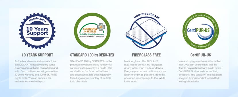 Queen Mattress, DIGLANT 14Inch Euro Top Memory Foam Hybrid Mattress, Medium Plush Feel Pocket Springs Queen Size Mattress for Pressure Relief, Edge Support Mattress in Box, CertiPUR-US, 60"*80"