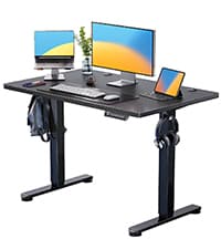 ErGear Height Adjustable Electric Standing Desk, 47.2 x 23.6 Inches Sit Stand up Desk, Memory Computer Home Office Desk with Two-Piece Desktop (Black)