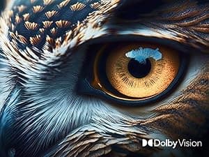 VIZIO 75-inch Quantum Pro 4K QLED 120Hz Smart TV with 1,000 nits Brightness, Dolby Vision, Local Dimming, 240FPS 1080p PC Gaming, WiFi 6E, Apple AirPlay, Google Cast Built-in (VQP75C-84, 2023)