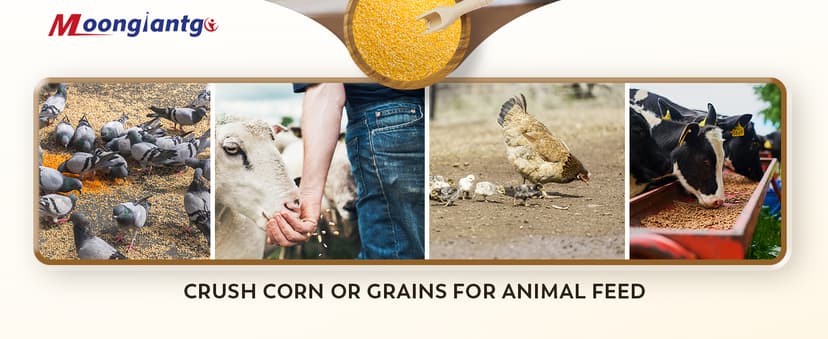 Moongiantgo Corn Grinder Cast Iron, Hand Crank Grain Mill with Large Hopper & Table Clamp, for Manual Crushing Barley Wheat Berries Coffee Chickpeas Seeds Pepper Dried Beans Animals Feed Home Brewing