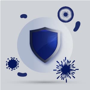 Hauslane 30” Wall Mount Range Hood Low Noise Performance Contemporary Design, Full-Size Handle Professional-Grade Baffle Filters, LED Lamps, Stainless Steel Chef Series WM-540 Ducted or Ductless