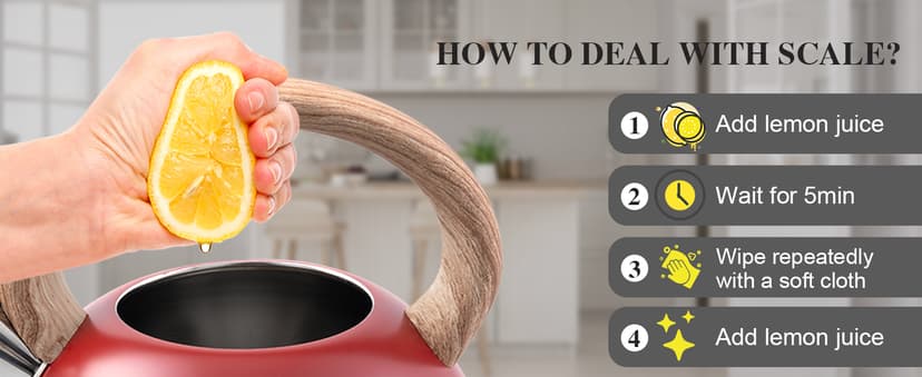 Tea Kettle Stovetops, 2.7 Quart Food Grade Stainless Steel Water kettles for Stove Top Teatop with Anti-hot Ergonomic Handle,Suitable for All Heat Sources