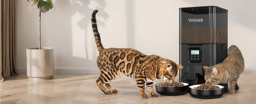 VOLUAS Automatic Cat Feeders - Timed Pet Feeder for Cats and Dogs with Dry Food Dispenser, Desiccant Bag, Programmable Portion Control, 4 Daily Meals, 10s Voice Recorder