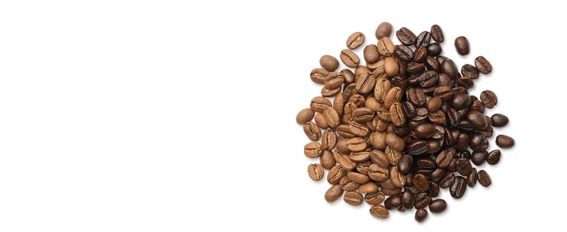 Breville BDC650BSS Grind Control Coffee Maker With Grinder, Brushed Stainless Steel, Thermal Carafe