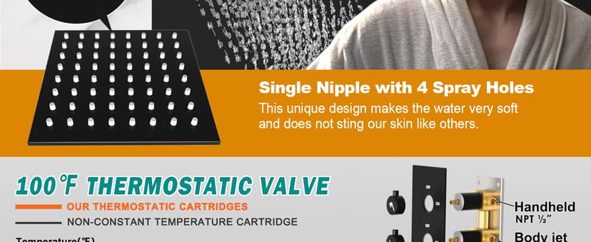 HOMEDEC Double Shower Heads Full Body Shower System with 6pcs Body Jets, 3-in-1 Function 14x20inch and 6inch Showerheads, Rainfall Shower System, Black