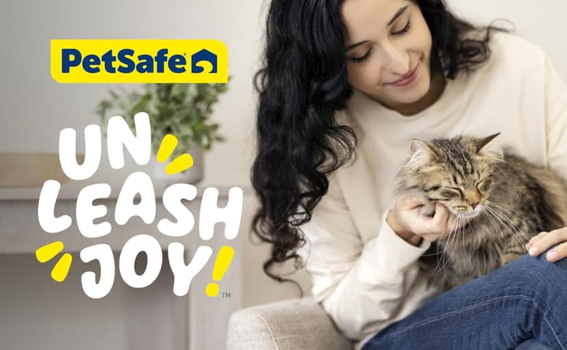 PetSafe Automatic Cat Feeder - Healthy Pet Simply Feed - Automatic Pet Feeder for Cats & Dogs - Timed Pet Feeder with Programmable Portion Control - Holds 24 Cups of Dry or Semi-Moist Dog or Cat Food