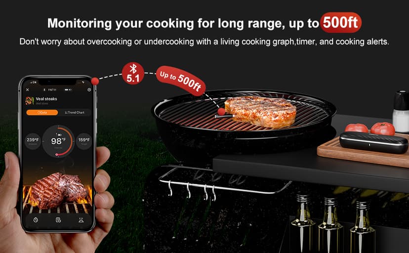 500ft Bluetooth Wireless Meat Thermometer for Smoker, Fitflavor Digital Grill Meat Thermometer Wireless for Grilling BBQ Cooking Oven Rotisserie, Rechargeable Battery, IP67 Waterproof (FNT11-4)