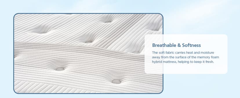 Queen Mattress, 14 Inch Queen Size Hybrid Memory Foam and Individual Pocket Spring,Motion Isolation,Medium Plush Mattress in Box,Pressure Relief, Edge Support Upgrade