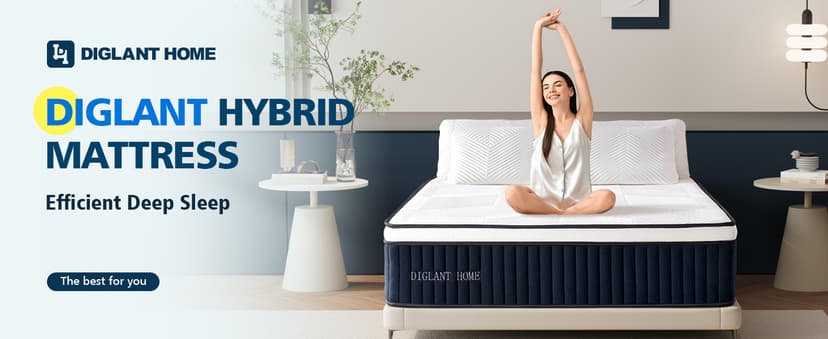 Queen Mattress, DIGLANT 14Inch Euro Top Memory Foam Hybrid Mattress, Medium Plush Feel Pocket Springs Queen Size Mattress for Pressure Relief, Edge Support Mattress in Box, CertiPUR-US, 60"*80"