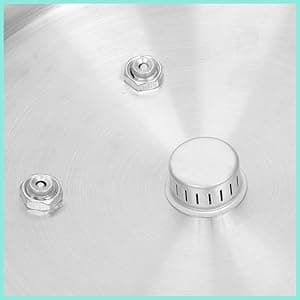 16 Quart Pressure Cooker, 10 Psi Induction Compatible Pressure Canner w/Stainless Steel Honeycomb Base, Heavy Gauge Aluminum, Quality Steamer Rack Included