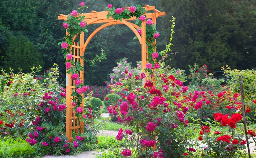 Yaheetech 85in Wooden Garden Trellis Horticulture Garden Arch Arbor for Climbing Planting Plant Stand in Garden Yard Outdoor, Brown