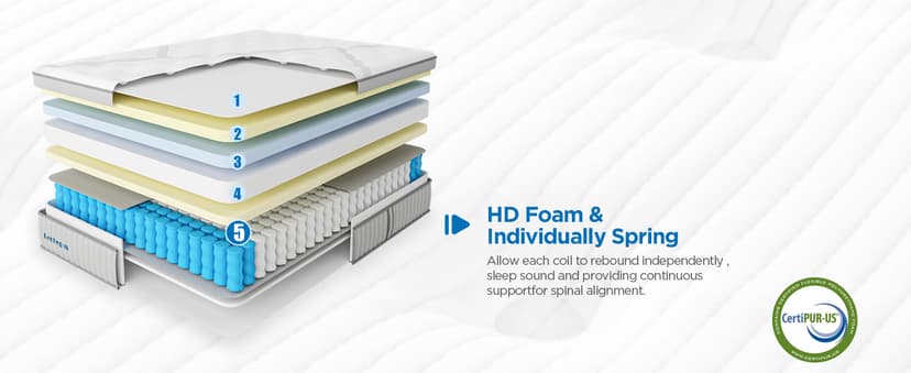 Queen Mattress, 14 Inch Queen Size Hybrid Memory Foam and Individual Pocket Spring,Motion Isolation,Medium Plush Mattress in Box,Pressure Relief, Edge Support Upgrade