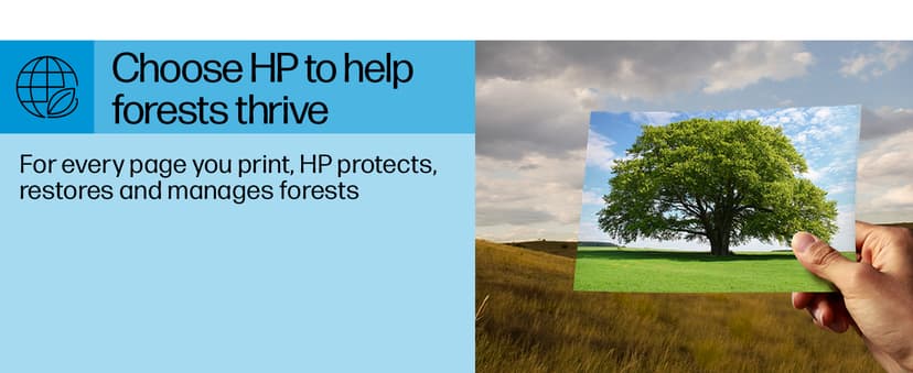 HP Envy 6555e Wireless All-in-One Color Inkjet Printer, Print, scan, Copy, Duplex Printing Best-for-Home, 3 month Instant Ink trial included (714N5A)