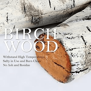 QuliMetal 6PCS Ceramic White Birch Gas Fireplace Logs Set – Realistic Fake Wood Logs for Indoor Inserts, Outdoor Fire Pits, Vented, Propane, Gel, Ethanol, and Electric Fireplaces
