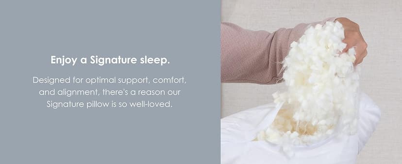 DreamyBlue Signature Pillow w/Adjustable Loft • Shredded Memory Foam Fill • Neutral Alignment for Side, Back, and Stomach Sleepers • Washable Bamboo Rayon Cover • CertiPUR-US Certified Foam (Queen)