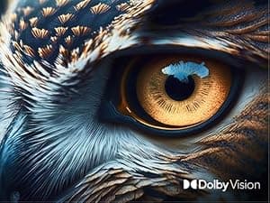 VIZIO 50-inch Quantum Pro 4K 120Hz QLED HDR10+ Smart TV with Dolby Vision, Active Full Array, 240Hz @ 1080p PC Gaming, WiFi 6E, Apple AirPlay, Chromecast Built-in, M50QXM-K01, 2023 Model