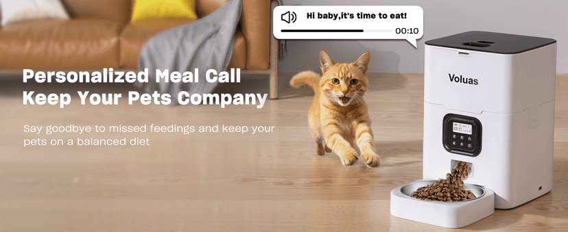 VOLUAS Automatic Cat Feeders - Timed Pet Feeder for Cats and Dogs with Dry Food Dispenser, Desiccant Bag, Programmable Portion Control, 4 Daily Meals, 10s Voice Recorder