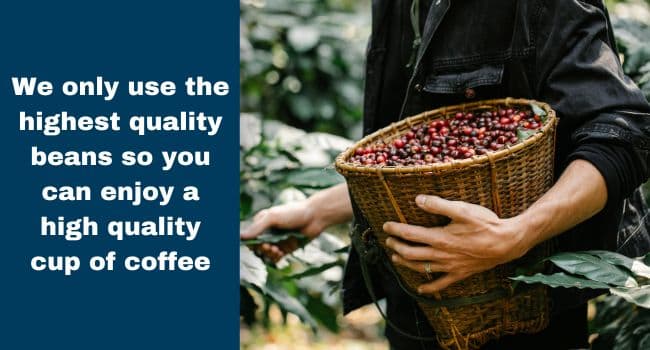 Door County Coffee Jamaican Blue Mountain Blend Non-Flavored - 10 oz Bag - Medium Roast - 100% Arabica - Jamaican Blue Mountain Blend