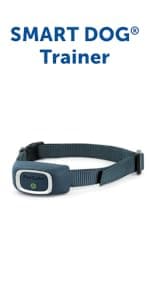 PetSafe Smart Feed - Electronic Pet Feeder for Cats & Dogs - 6L/24 Cup Capacity - Programmable Mealtimes - Alexa, Apple & Android Compatible - Backup Batteries Ensure Meal Delivery During Power Outage