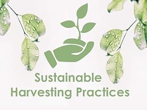 AquaTeak The Original 18" Asia Teak Shower Bench