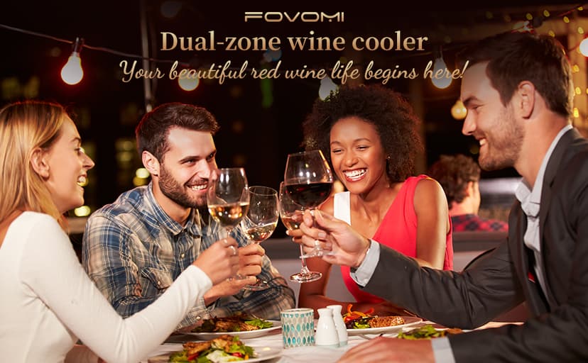 Wine Refrigerators,52-bottle Wine Fridge Cooler Freestanding Wine Refrigerator,(Bordeaux 750ml) Dual Zone Compressor Wine Cellar Chiller