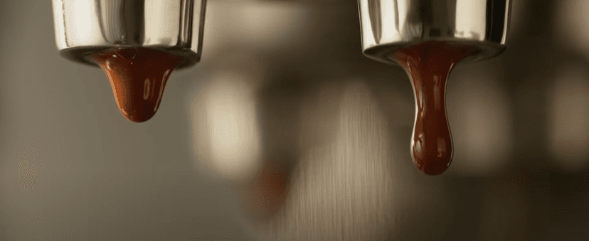 Breville Bambino Plus Espresso Machine BES500BSS, Brushed Stainless Steel