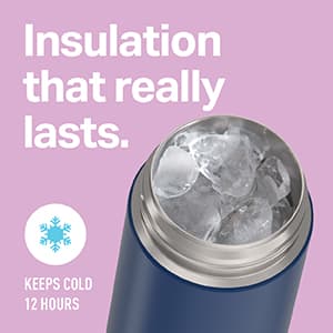 THERMOS FUNTAINER 16 Ounce Stainless Steel Vacuum Insulated Bottle with Wide Spout Lid, Navy