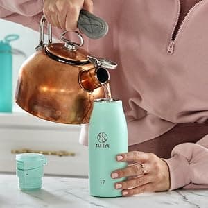 Takeya Traveler Insulated Travel Mug, Leak Proof Lid, 17 Ounce, Onyx